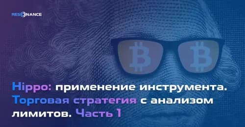 Хиппо: торговая стратегия с лимитами | Стратегия трейдинга Hippo | Resonance