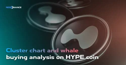 Cluster Chart and Whale Buying Analysis on HYPE Token